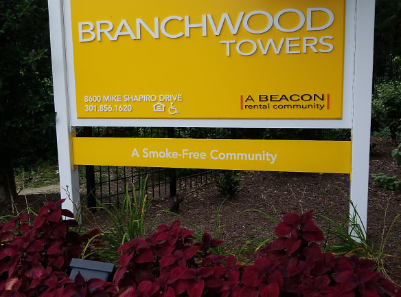 Branchwood Towers Apartments - Clinton, MD
