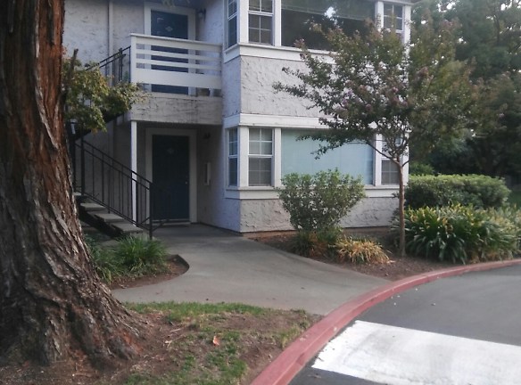 1661 Forest Avenue Apartments - Chico, CA