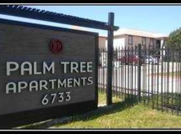 Palm Tree Apartments - San Antonio, TX
