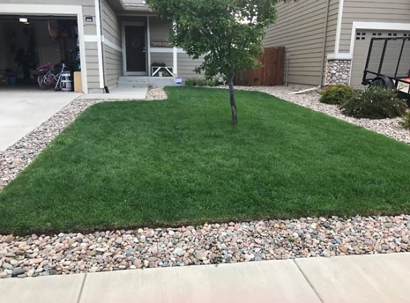 Immaculately-kept lawn and yard