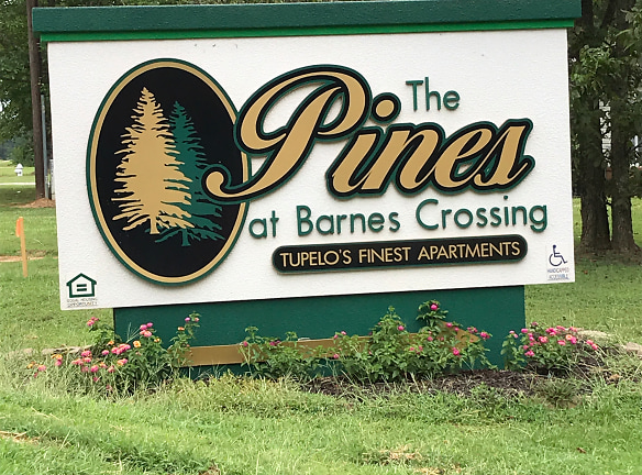 The Pines At Barnes Crossing Apartments - Tupelo, MS