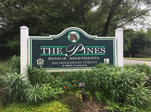 The Pines Apartments - Chelsea, MI