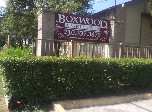 Boxwood Apartments - San Antonio, TX