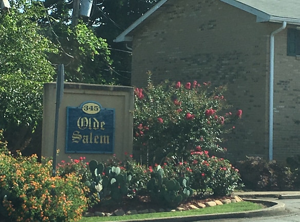 Olde Salem Apartments - Lawrenceville, GA