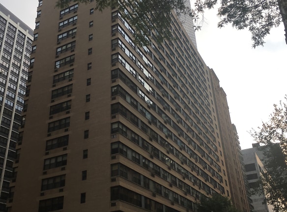 850 N Dewitt Pl Apartments - Chicago, IL