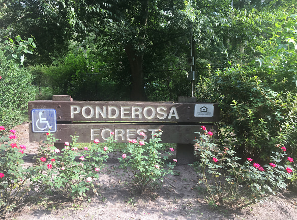Ponderosa Forest Apartments - Savannah, GA