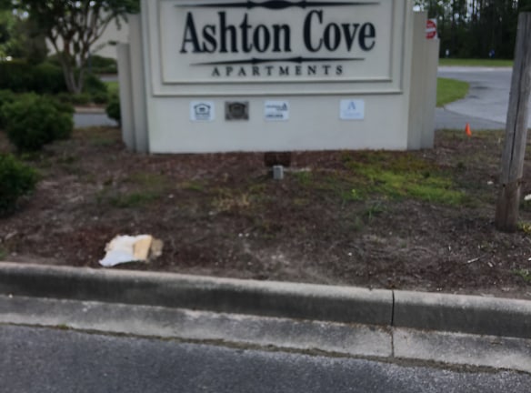Ashton Cove Apartments - Kingsland, GA