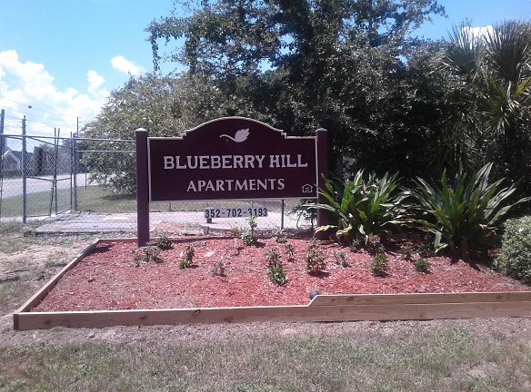 Blueberry Hill Apartments - Leesburg, FL