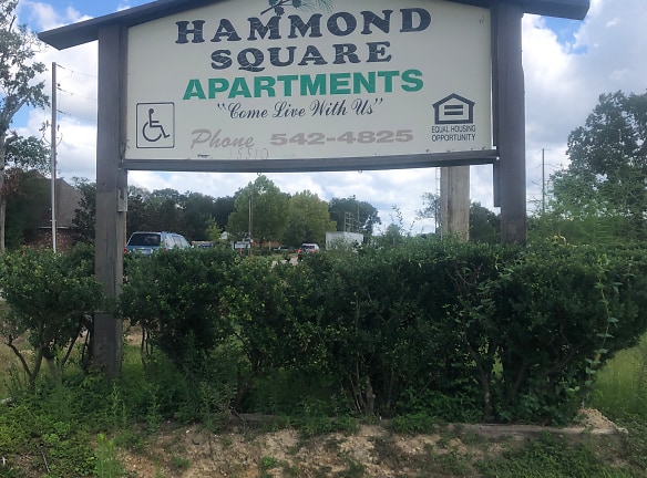 Hammond Square Apartments - Hammond, LA