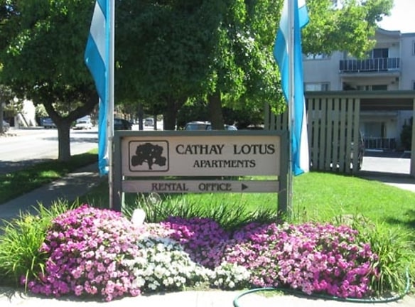 Cathay Lotus Apartments - Sunnyvale, CA