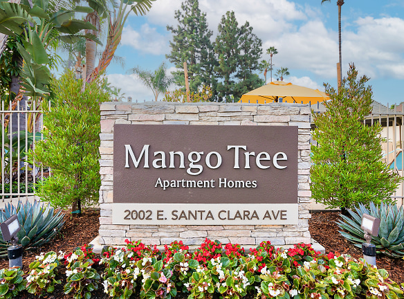 Mango Tree - Santa Ana, CA