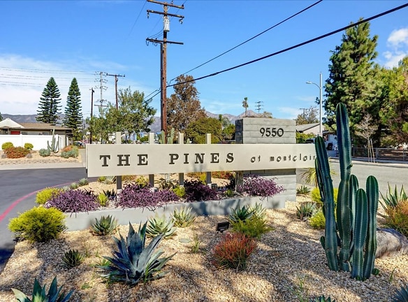 The Pines At Montclair - Montclair, CA