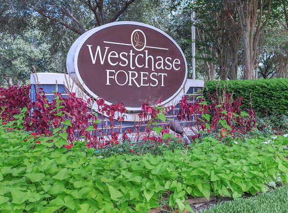 Westchase Forest - Houston, TX