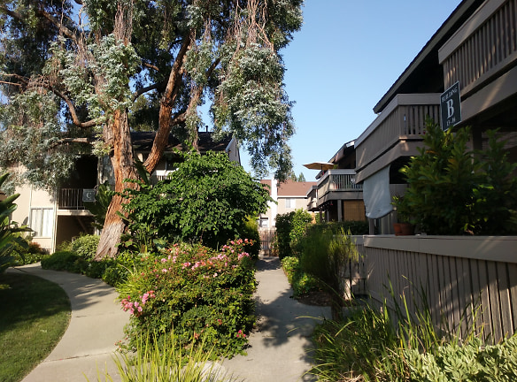 Devon Apartments - Pleasant Hill, CA