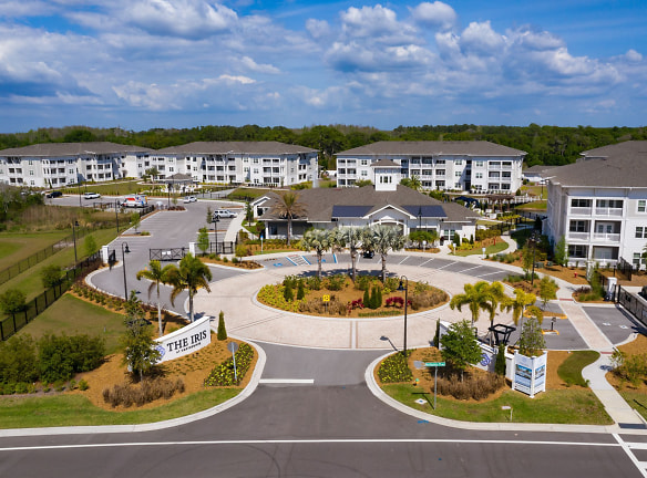 The Iris At Northpointe - Lutz, FL