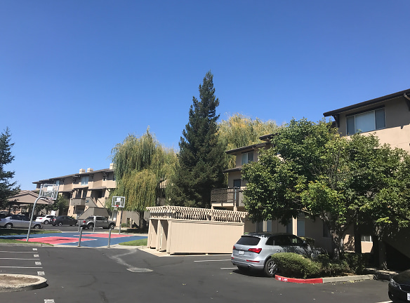 Octave Apartments - Davis, CA