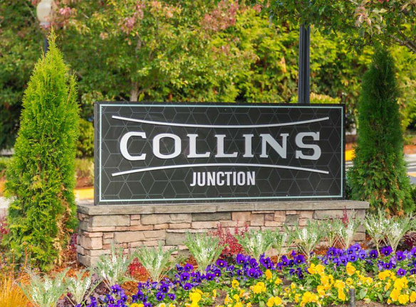 Collins Junction - Lynnwood, WA