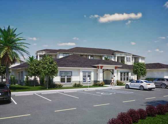 New Tampa Palms Apartments - Tampa, FL