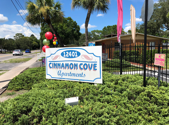 Cinnamon Cove Apartments - Tampa, FL