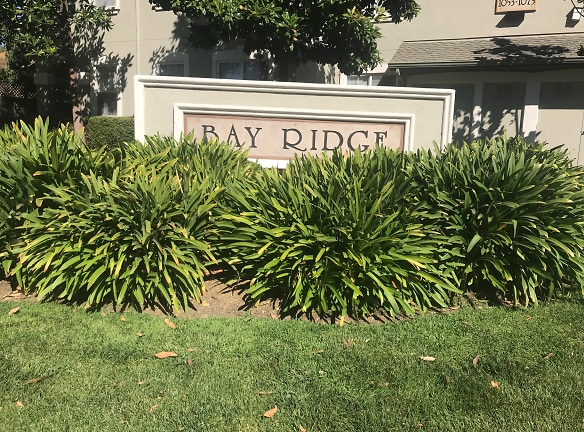 Bay Ridge Apartments - Benicia, CA