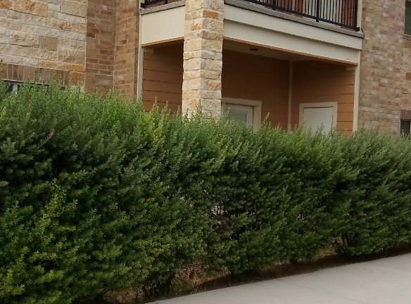Villa Regale Apartments - Mc Allen, TX