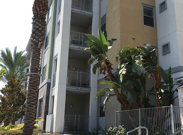 University House Apartments - Fullerton, CA