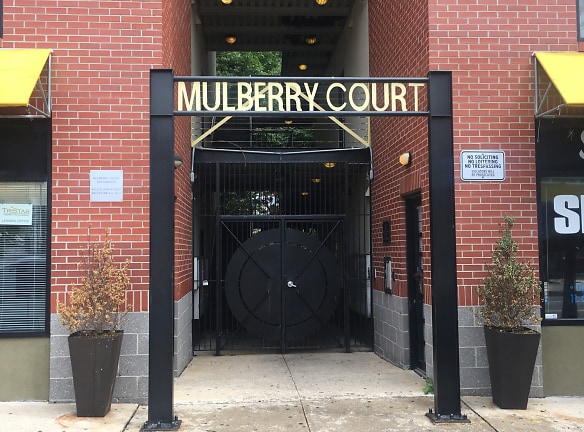 Mulberry Court Apartments - Baltimore, MD