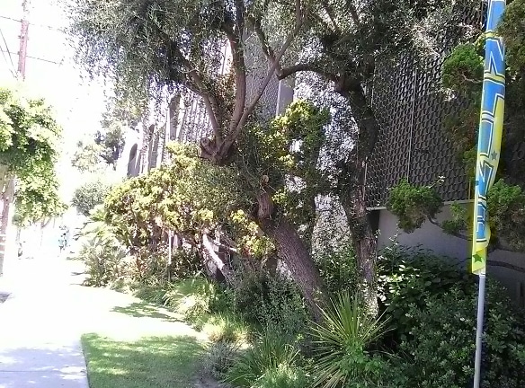 Regal Manor Apartments - Hawthorne, CA