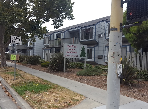 Pinewood Terrace Apartments - San Jose, CA