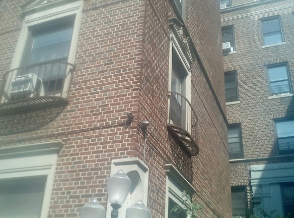 901 WASHINGTON AVENUE Apartments - Brooklyn, NY