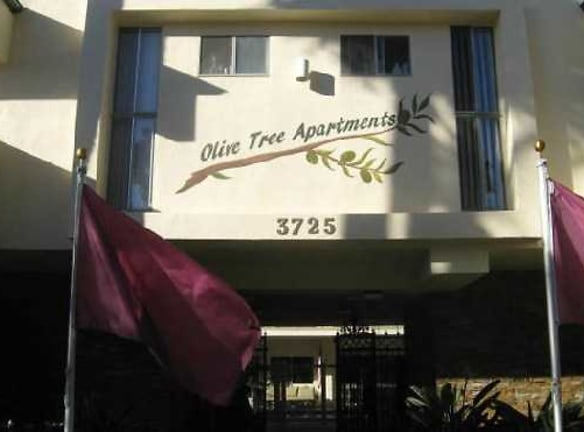 Olive Tree - Torrance, CA