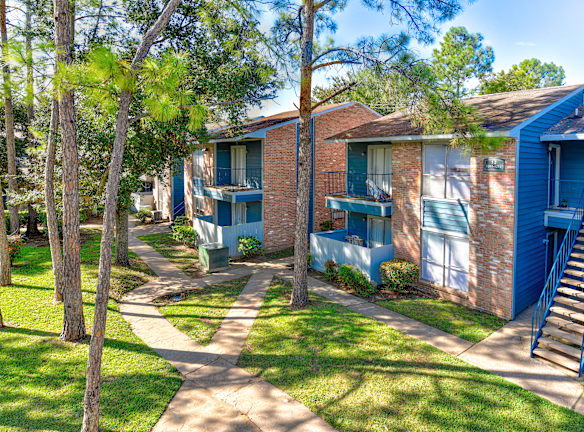 Casa Nube En Bissonnet - Houston, TX