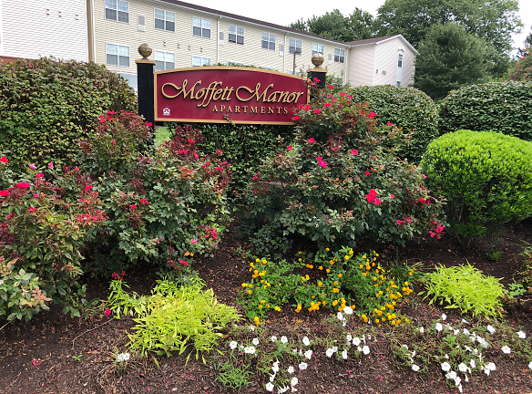 Moffett Manor Apartments - Warrenton, VA