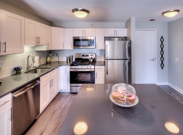 500 N State St unit 1102 - Chicago, IL