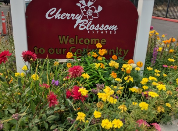 Cherry Blossom Estates Apartments - Portland, OR