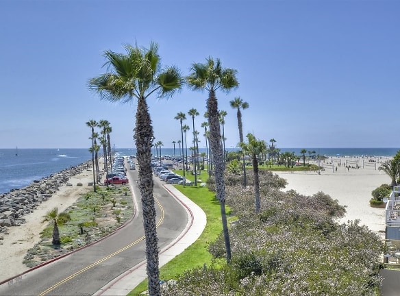 2595 Ocean Front Walk #7 - San Diego, CA
