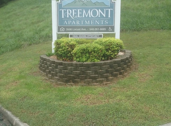 Treemont Village Apartments - Buena Vista, VA