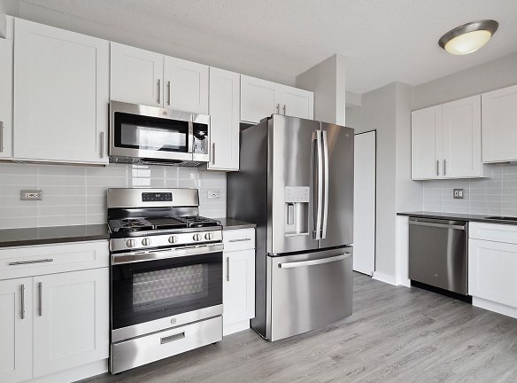540 N State St unit 3609 - Chicago, IL