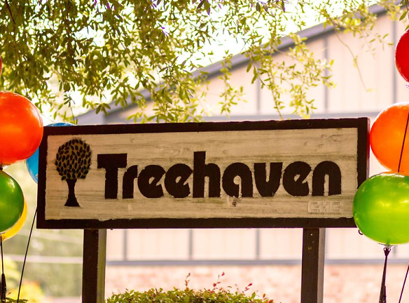 Treehaven Apartments - Summerville, SC
