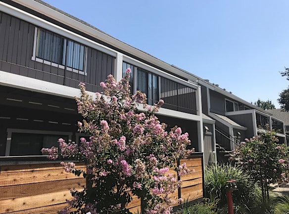 La Salle Apartments Davis Ca