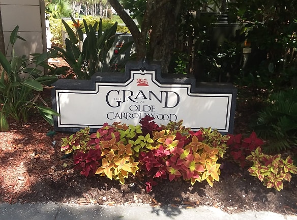 The Grande At Old Carrollwood Apartments - Tampa, FL