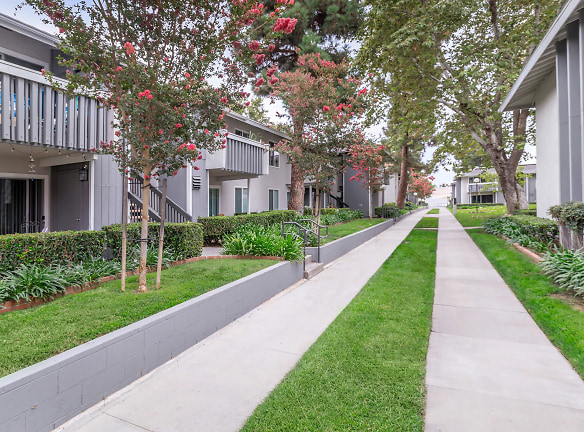 Briarwood Apartments - Tustin, CA