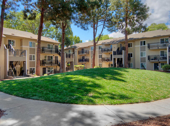 Arbor Terrace Apartments - Sunnyvale, CA