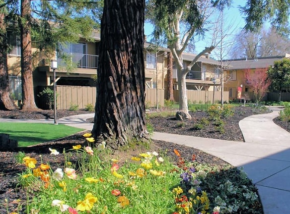 Flora Apartments - Walnut Creek, CA