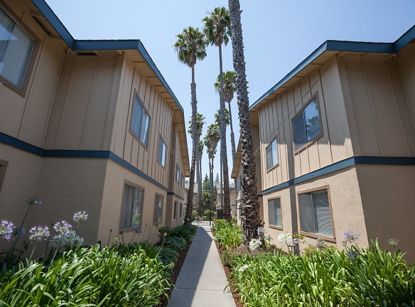 Cedartree Apartments - Santa Clara, CA