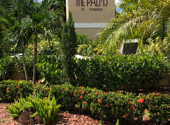 Palms Of Pembroke, The Apartments - Pembroke Pines, FL