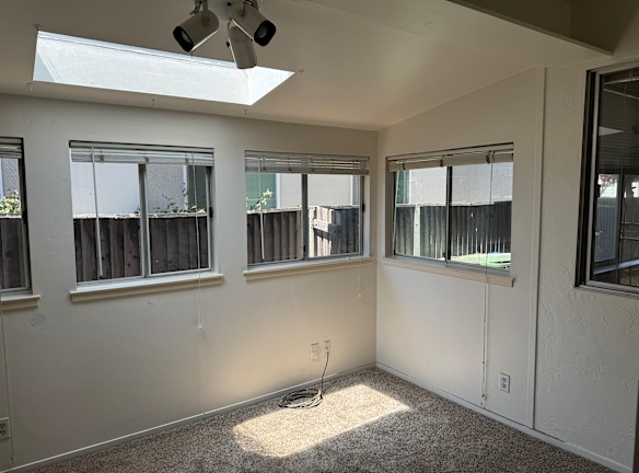 Sunroom 878 whitehall 2024.jpg