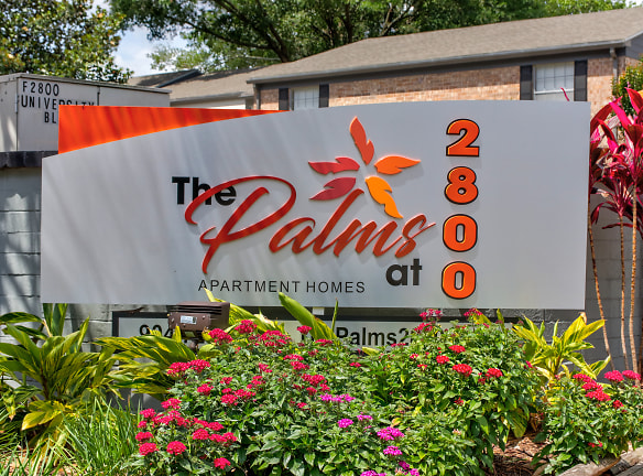 The Palms At 2800 - Jacksonville, FL