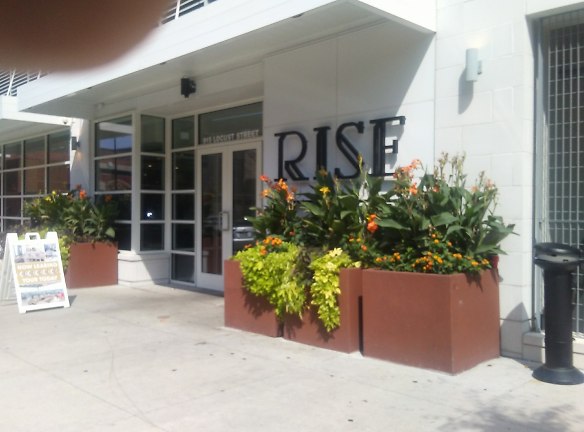 Rise On 9th Apartments - Columbia, MO
