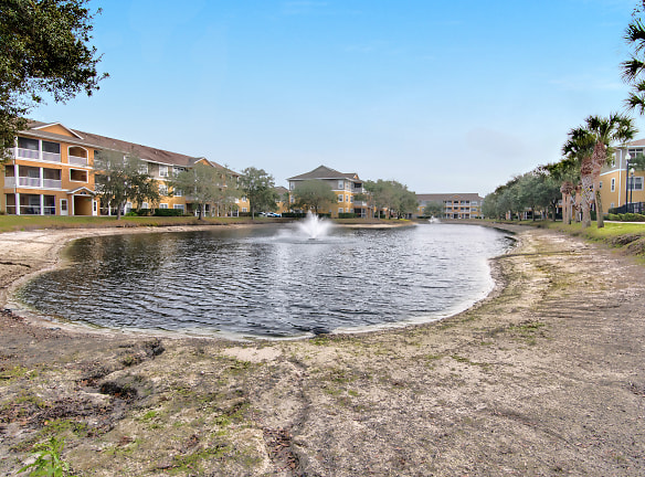 Trinity Palms Apartments - New Port Richey, FL